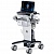 Аппарат УЗИ GE Healthcare Vivid IQ 4D
